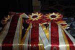 USEF-1-14-10-173-DDeRosaPhoto.jpg