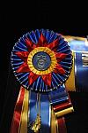 USEF-1-14-10-264-DDeRosaPhoto.jpg