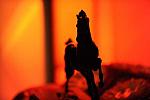 USEF-1-15-10-309-DDeRosaPhoto.jpg