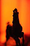 USEF-1-15-10-320-DDeRosaPhoto.jpg