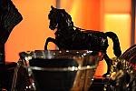 USEF-1-15-10-339-DDeRosaPhoto.jpg