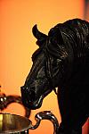 USEF-1-15-10-343-DDeRosaPhoto.jpg