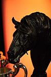 USEF-1-15-10-345-DDeRosaPhoto.jpg