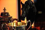 USEF-1-15-10-350-DDeRosaPhoto.jpg
