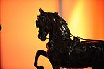 USEF-1-15-10-351-DDeRosaPhoto.jpg