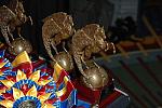 USEF-1-15-10-366-DDeRosaPhoto.jpg