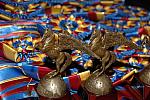 USEF-1-15-10-367-DDeRosaPhoto.jpg