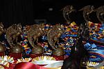 USEF-1-15-10-369-DDeRosaPhoto.jpg