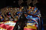 USEF-1-15-10-370-DDeRosaPhoto.jpg