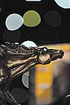 USEF-1-16-10-824-DDeRosaPhoto.jpg