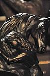 USEF-1-16-10-825-DDeRosaPhoto.jpg