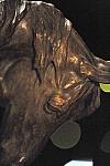 USEF-1-16-10-826-DDeRosaPhoto.jpg