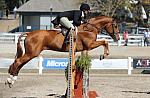 JenniferAlfano-WEG3-10-7-10-Hunters-WEG_6199-DDeRosaPhoto.jpg