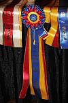 USEF-1-20-11-252-DDeRosaPhoto.jpg