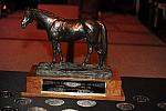 USEF-1-20-11-269-DDeRosaPhoto.jpg