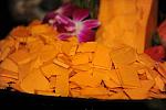 USEF-1-21-11-517-DDeRosaPhoto.jpg