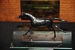 USEF-1-22-11-994-DDeRosaPhoto.jpg