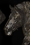 USEF-1-18-19-2013-8807-DDeRosaPhoto