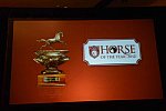 USEF-1-18-19-2013-8853-DDeRosaPhoto