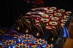 USEF-1-18-19-2013-8886-DDeRosaPhoto