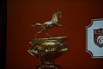 USEF-1-18-19-2013-9039-DDeRosaPhoto