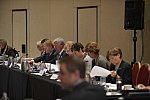 USEF-1-18-19-2013-9296-DDeRosaPhoto