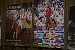 USEF-1-18-19-2013-8908-DDeRosaPhoto