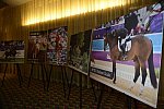 USEF-1-18-19-2013-8910-DDeRosaPhoto