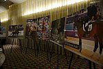 USEF-1-18-19-2013-8911-DDeRosaPhoto