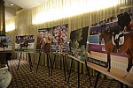 USEF-1-18-19-2013-8912-DDeRosaPhoto