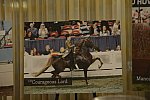 USEF-1-18-19-2013-8941-DDeRosaPhoto