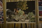 USEF-1-18-19-2013-8944-DDeRosaPhoto