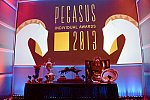 USEF-1-10-14-Pegasus-6378-DDeRosaPhoto