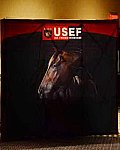 USEF-1-10-14-Pegasus-6882-DDeRosaPhoto