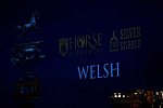 USEF-1-11-14-7377-DDeRosaPhoto