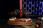 USEF-1-15-2016-1730-DDeRosaPhoto