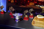 USEF-1-15-2016-1735-DDeRosaPhoto