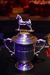 USEF-1-15-2016-1738-DDeRosaPhoto