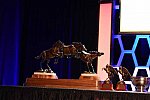 USEF-1-15-2016-1749-DDeRosaPhoto