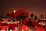 USEF-1-15-2016-1758-DDeRosaPhoto