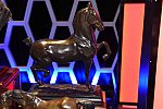 USEF-1-16-2016-1899-DDeRosaPhoto