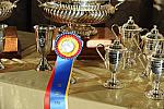 USHJA-12-8-09-331-AwardsDinner-DDeRosaPhoto_1.jpg
