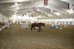 USHJA-EAP-7-12-18-0801-DDeRosaPhoto