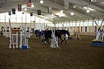 USHJA-EAP-7-12-18-0805-DDeRosaPhoto