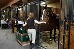 USHJA-EAP-7-11-18-0782-DDeRosaPhoto