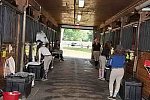 USHJA-EAP-7-11-18-3288-DDeRosaPhoto