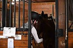 USHJA-EAP-7-11-18-3329-DDeRosaPhoto