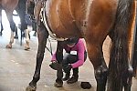 USHJA-EAP-7-11-18-3944-DDeRosaPhoto