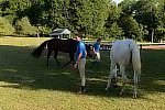 USHJA-EAP-7-12-18-0791-DDeRosaPhoto