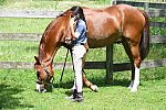 EAP-6-27-19-1159-DDeRosaPhoto